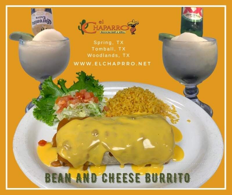 El Chaparro Mexican Bar & Grill - The Woodlands, TX